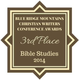 blue-ridge-award-3rd