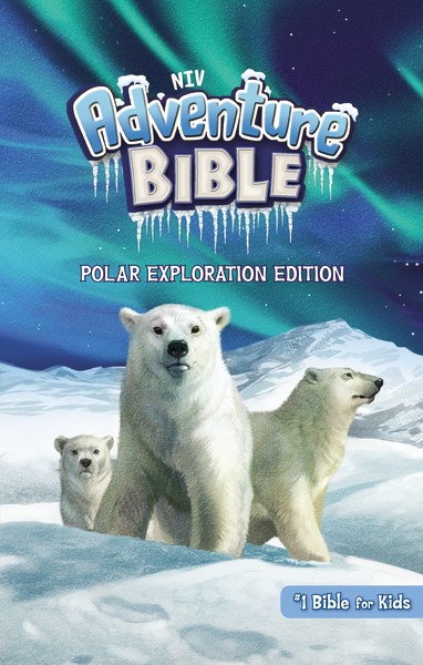 Adventure Bible Cover 2